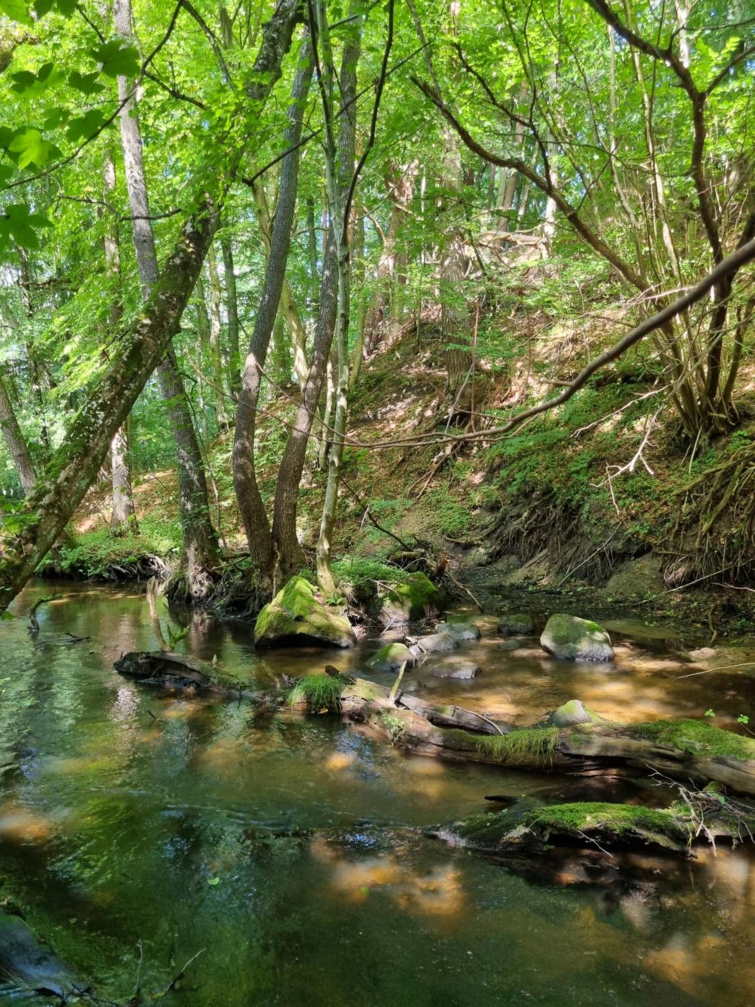 Domki Nad Morzem Lublewo21 Obok Bialogory Lublewo Leborskie Kültér fotó