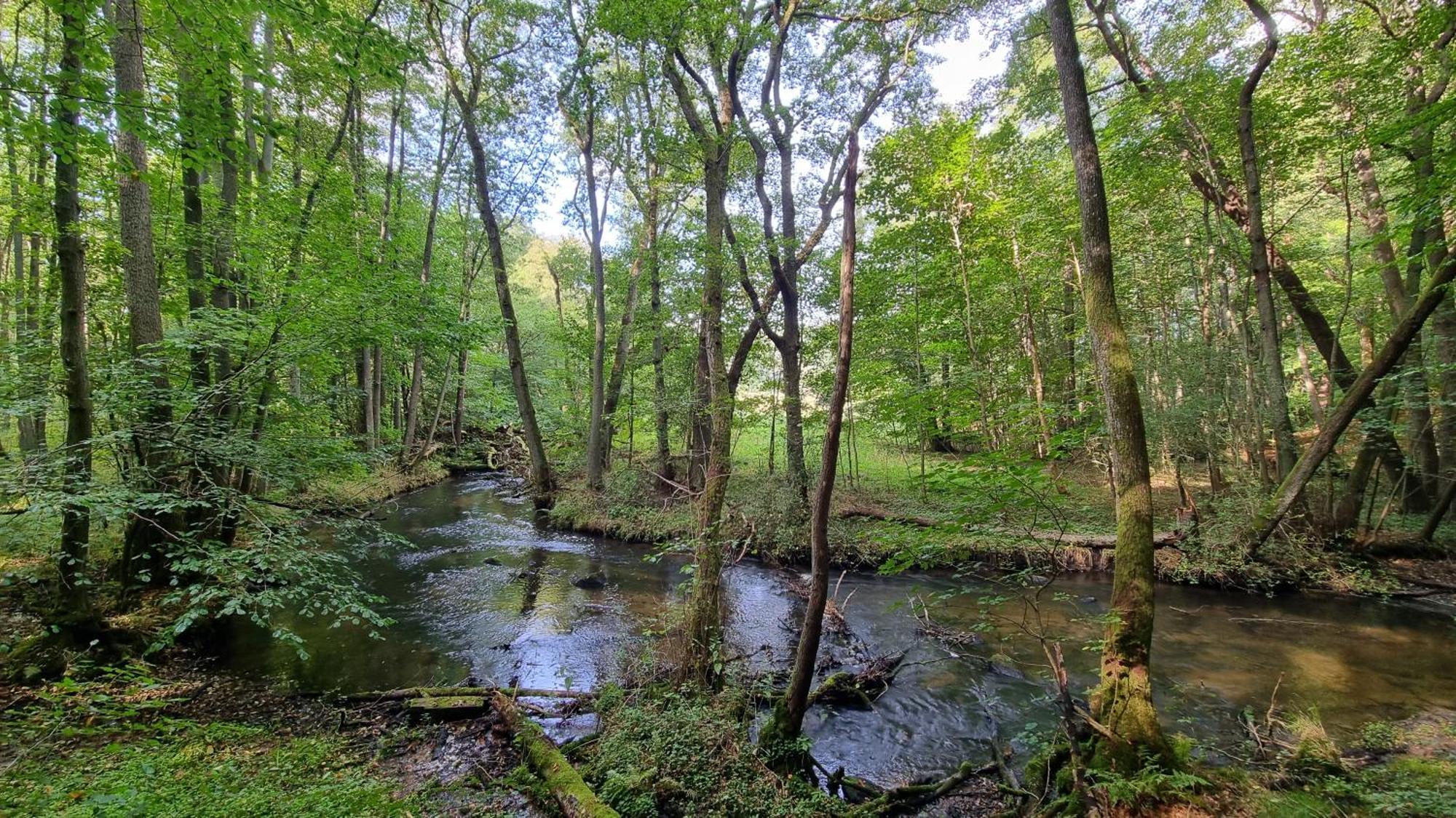 Domki Nad Morzem Lublewo21 Obok Bialogory Lublewo Leborskie Kültér fotó