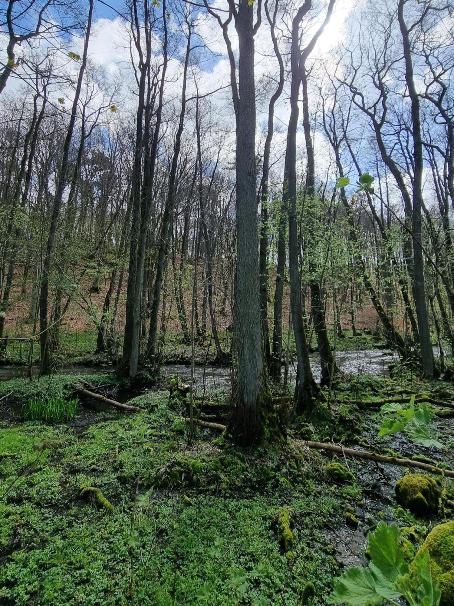 Domki Nad Morzem Lublewo21 Obok Bialogory Lublewo Leborskie Kültér fotó